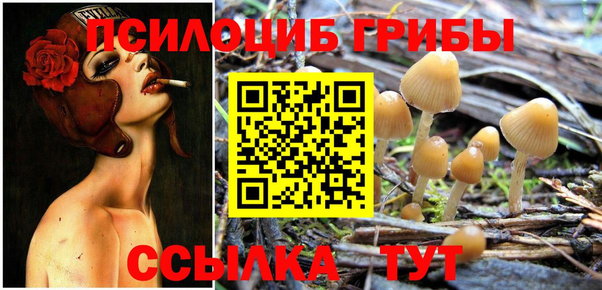 Оренбург  Псилоцибиновые грибы MAGIC MUSHROOMS  Вход с VPN 