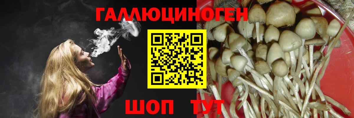 Псилоцибиновые грибы Cubensis Оренбург